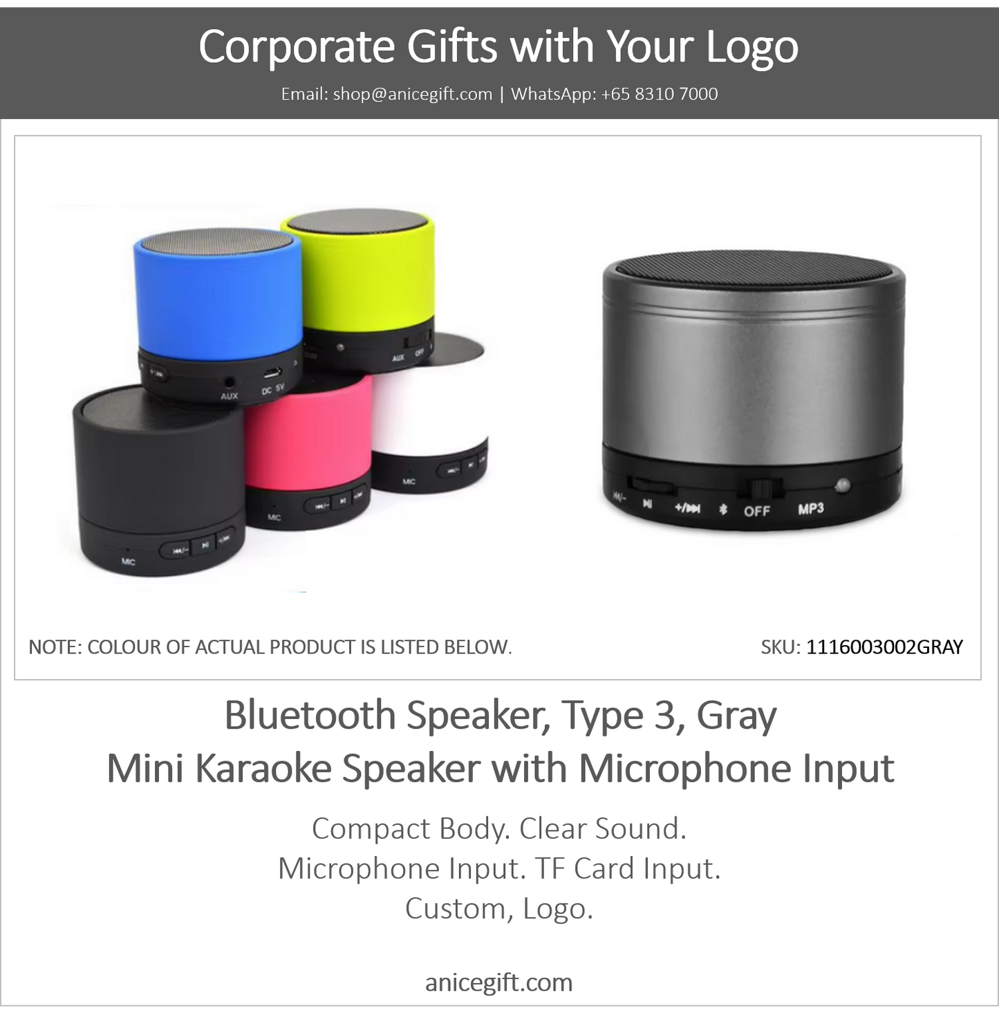 Bluetooth Speaker, Type 3, Gray | Mini Karaoke Speaker with Microphone Input (Copy)