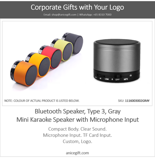 Bluetooth Speaker, Type 3, Gray | Mini Karaoke Speaker with Microphone Input (Copy)