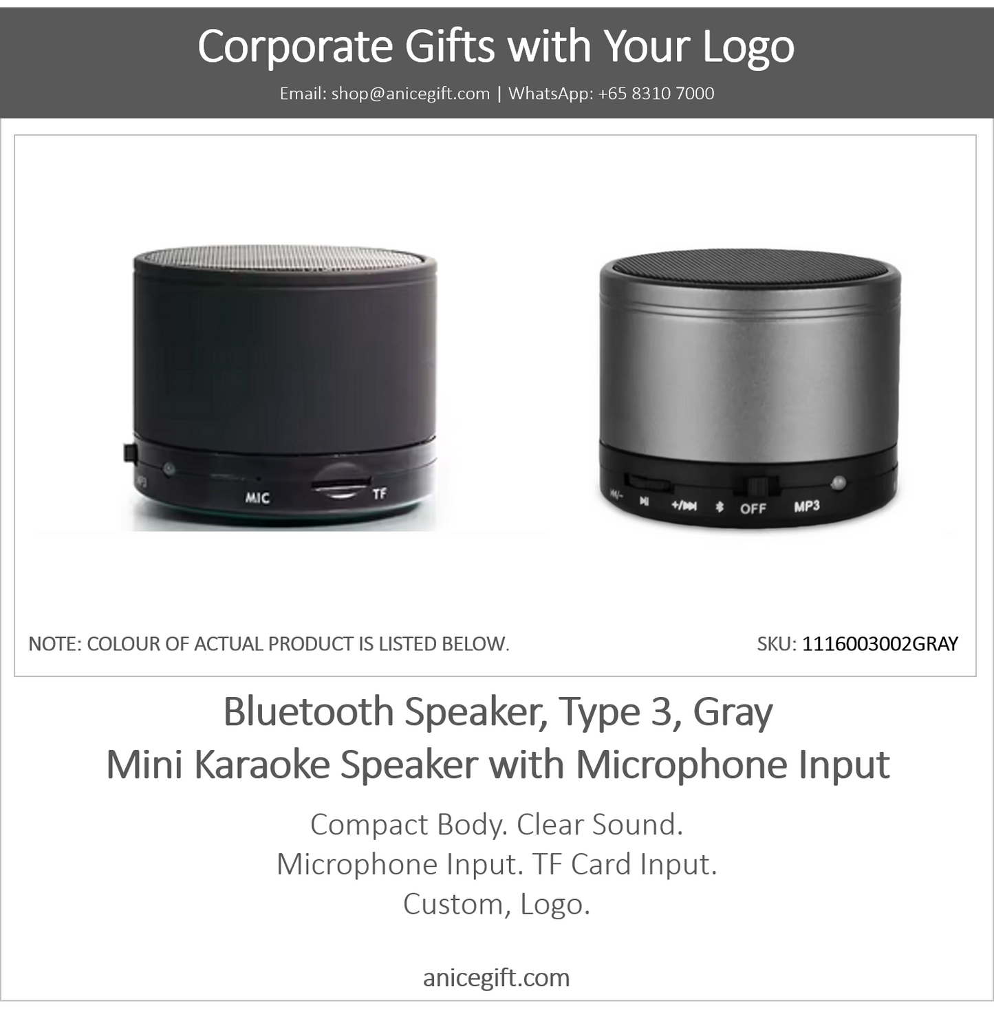 Bluetooth Speaker, Type 3, Gray | Mini Karaoke Speaker with Microphone Input (Copy)